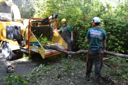 tree services Brookport